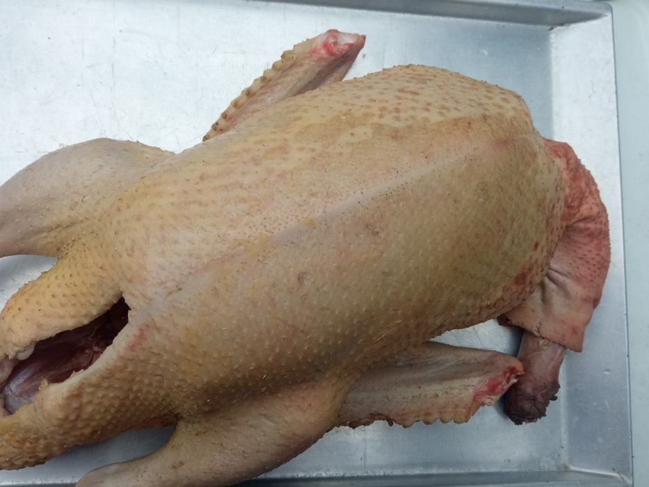 Продам тушки мускусных уток