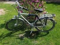 Rower męski Gazelle 28cali
