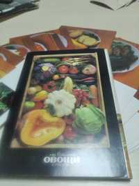 Набор комплект открыток СССР. Овощи на вашем столе. 1990