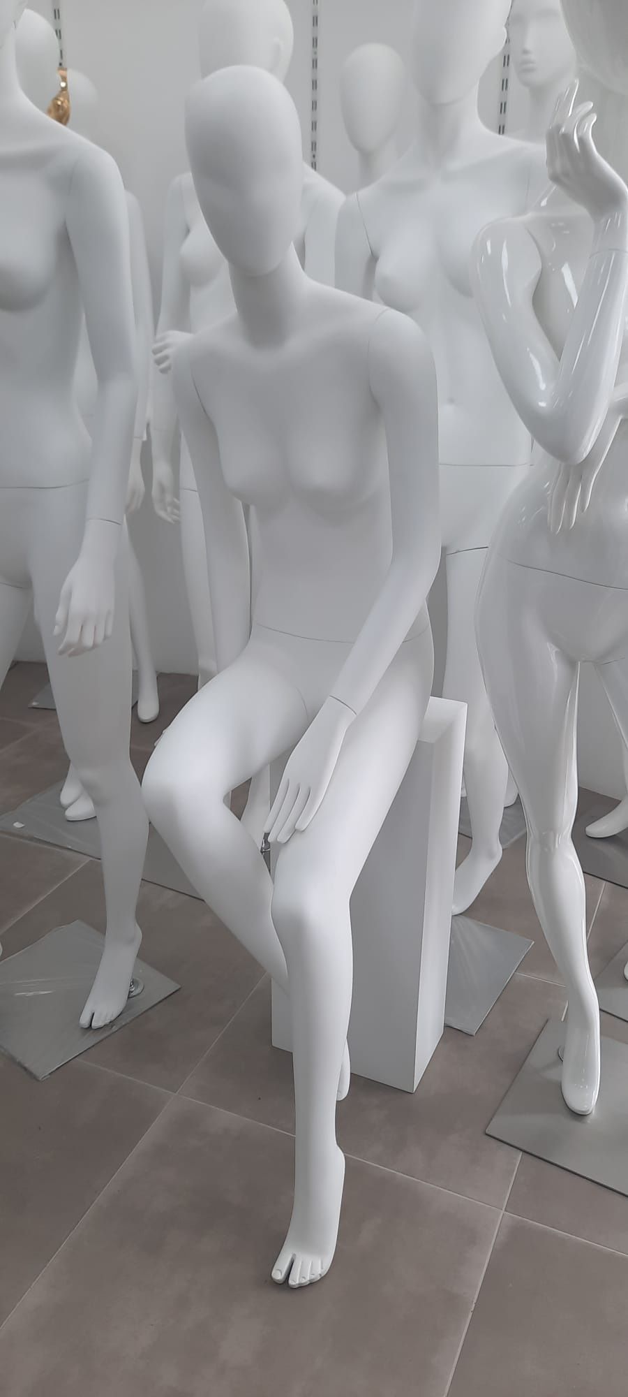 Busto para boxer, cuecas etc. (NOVO)