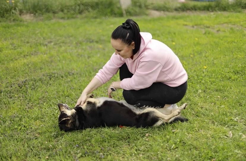 Adoptuj AKORDA-zyskaj przyjaciela