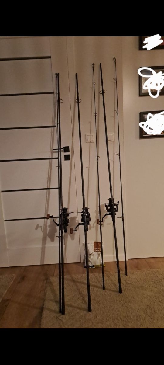 3 wedki prologic c series