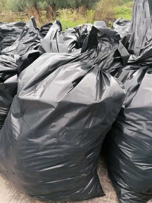 Obornik 2 letni  bydlecy