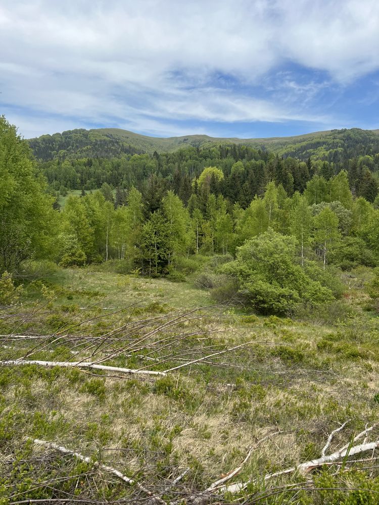 Продам земельну ділянку Волосянка