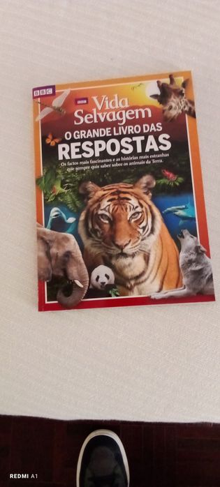 Livro o grande livro das respostas