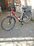 Rower damka  ATLANTA Szczecin