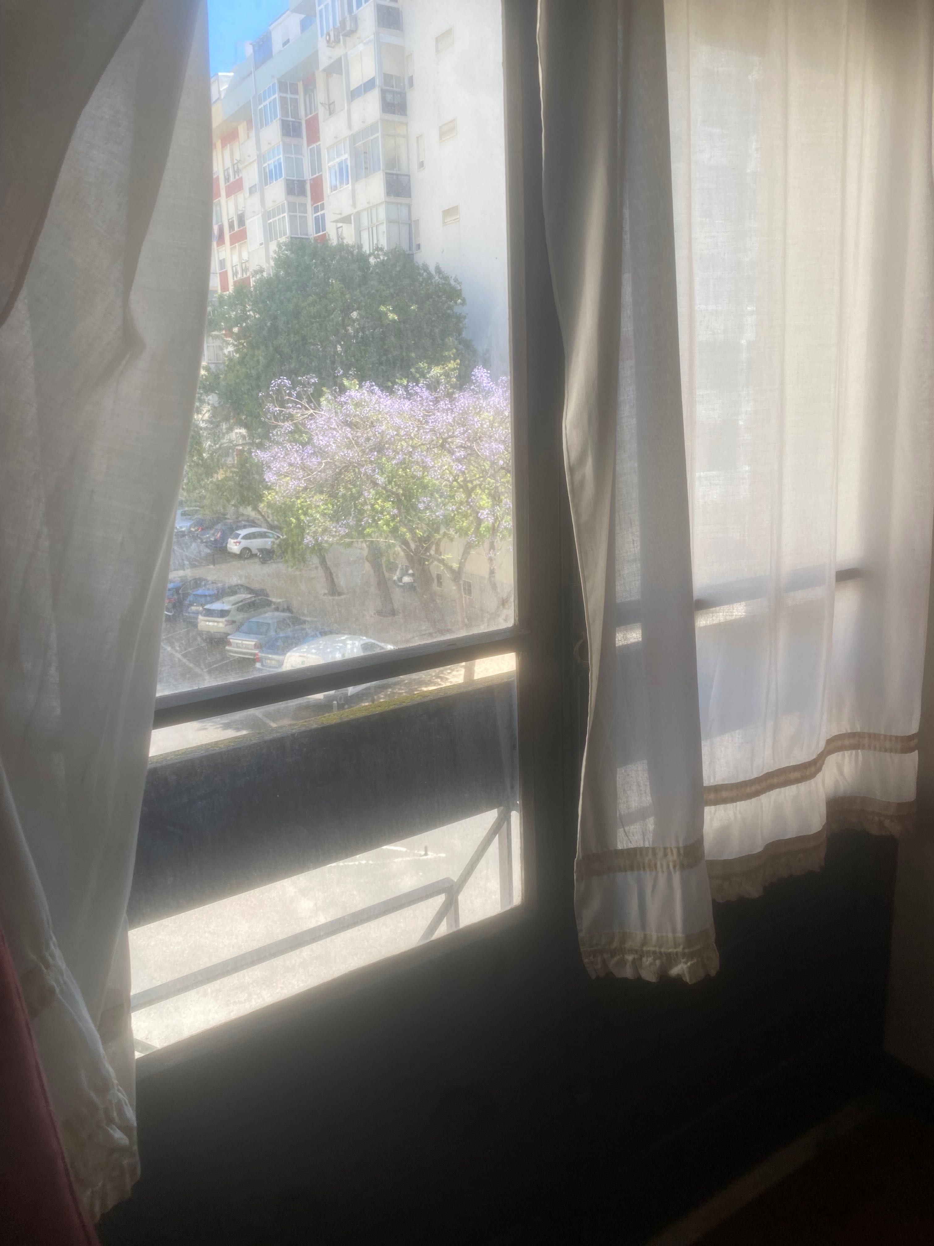 Quarto para alugar Quinta das Palmeiras Oeiras