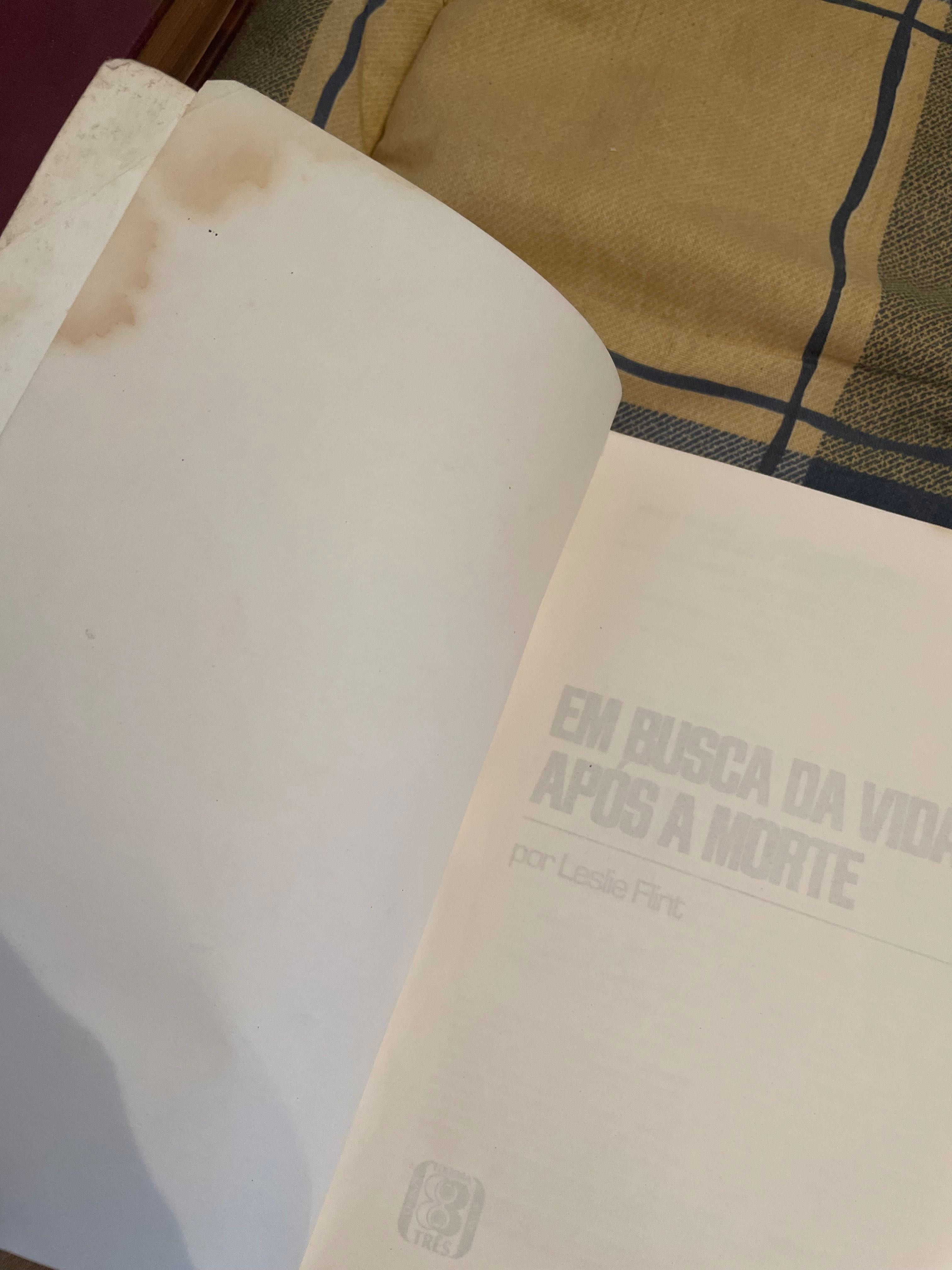 Livro Em Busca Da Vida Após A Morte