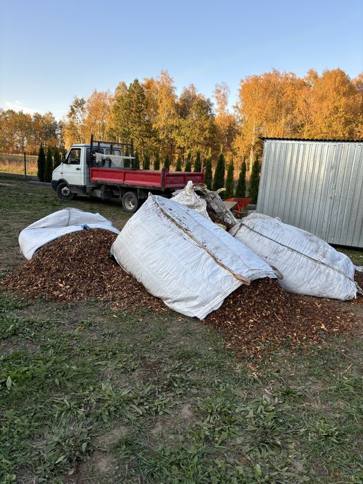Kora ogrodowa średnia lub drobna