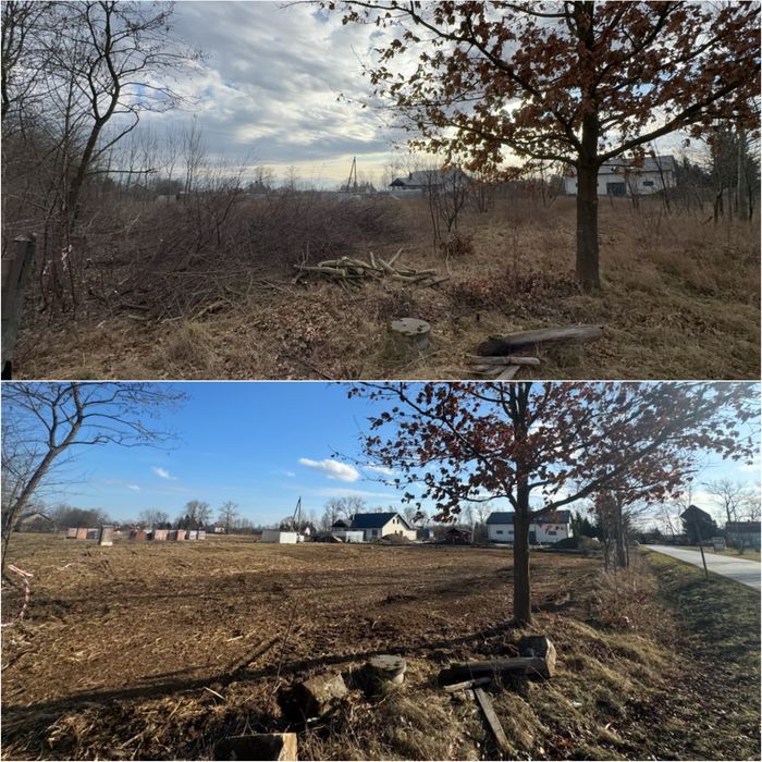 Mulczer Leśny Wycinka Drzew Frezowanie Pni