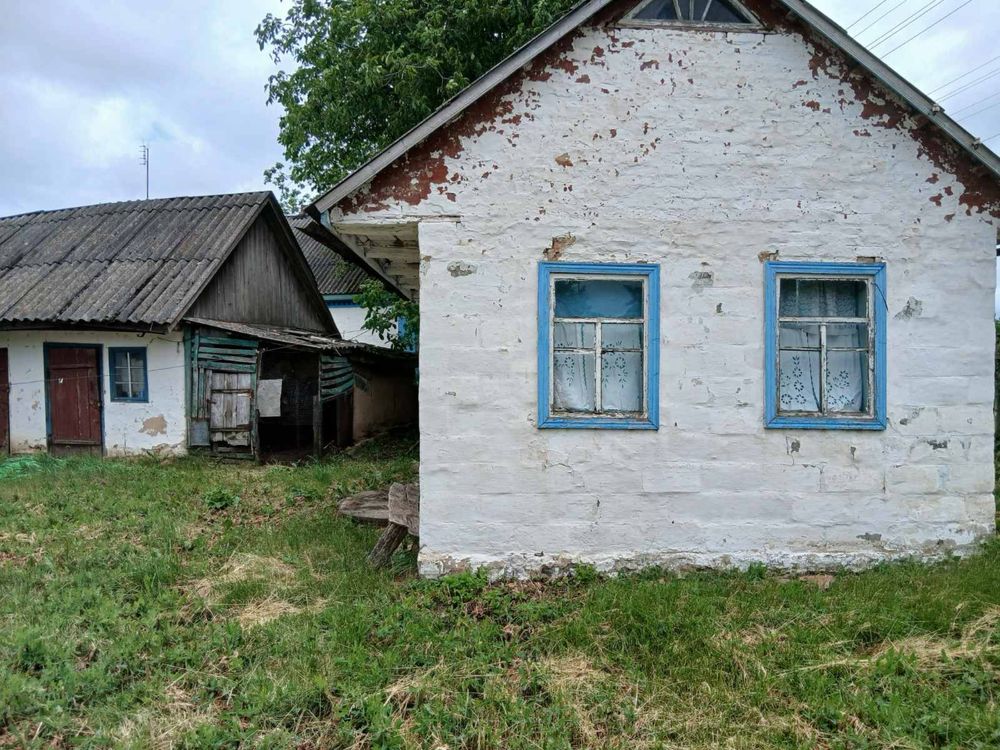 Продам будинок в мальовничому селі