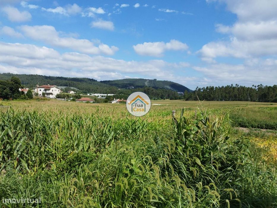 Terreno para Construção em Zona Panorâmica
