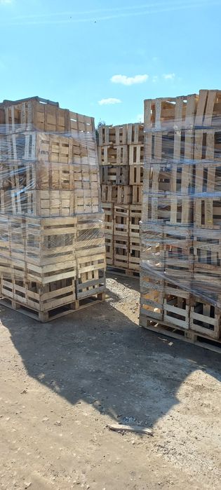 Skrzynki luszczki 50x30c25cm na warzywa owoce gruszki rozsadę