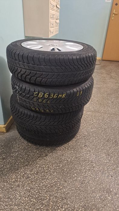 Opony zimowe Dębica 185/65/15