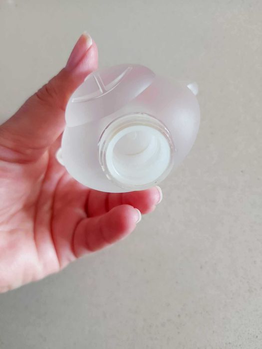 Cabeça Urso Moschino