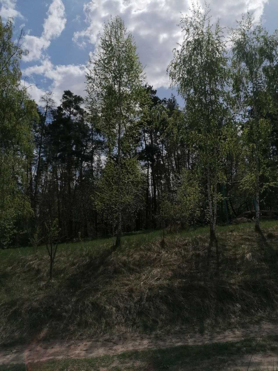Пропозиція для поціновувачів мешкати поруч з лісом