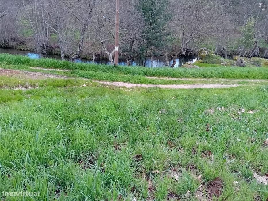 Lote de Tereno rústico 2500€