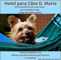 Hotel para cães com acondicionado, Palmela