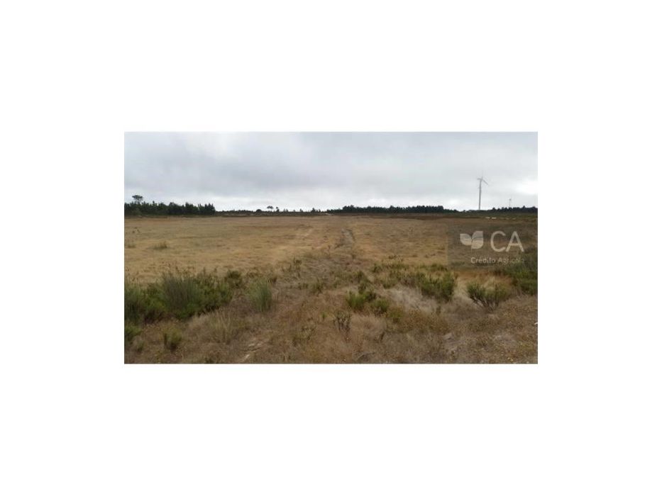 Terreno Agricola/Florestal a 2,5 Km de Budens.