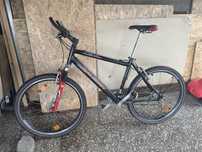 Rower firmy raleigh
