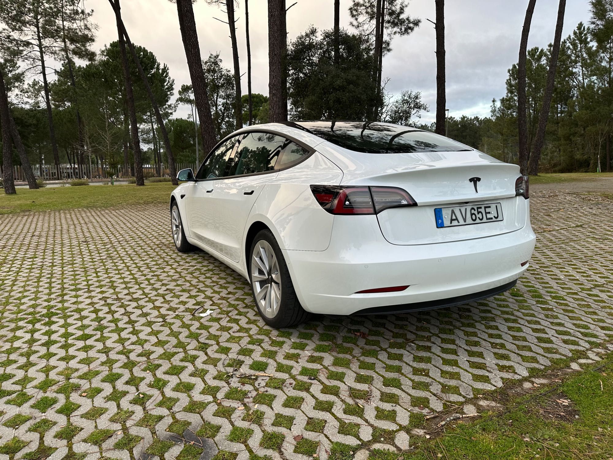 Tesla Model 3 Standard Range Plus de 2021 + Extras