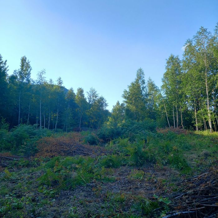 Продається земельна ділянка с.Мигово гарне місце для дачного будинку