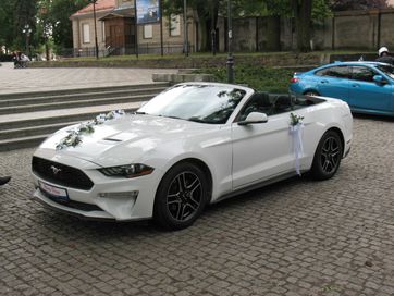 Mustang - samodzielna jazda -Amerykańskie Klasyki - Mercedesy i inne