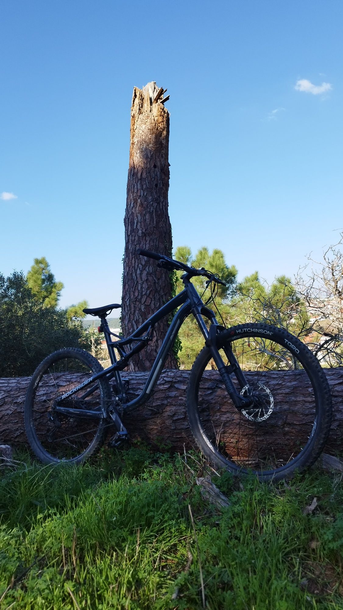 Rockrider am 50s XL