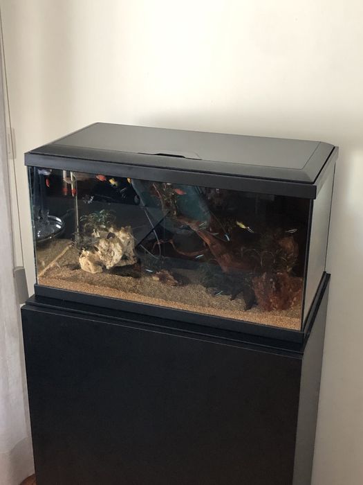 Aquario 60L com Movel