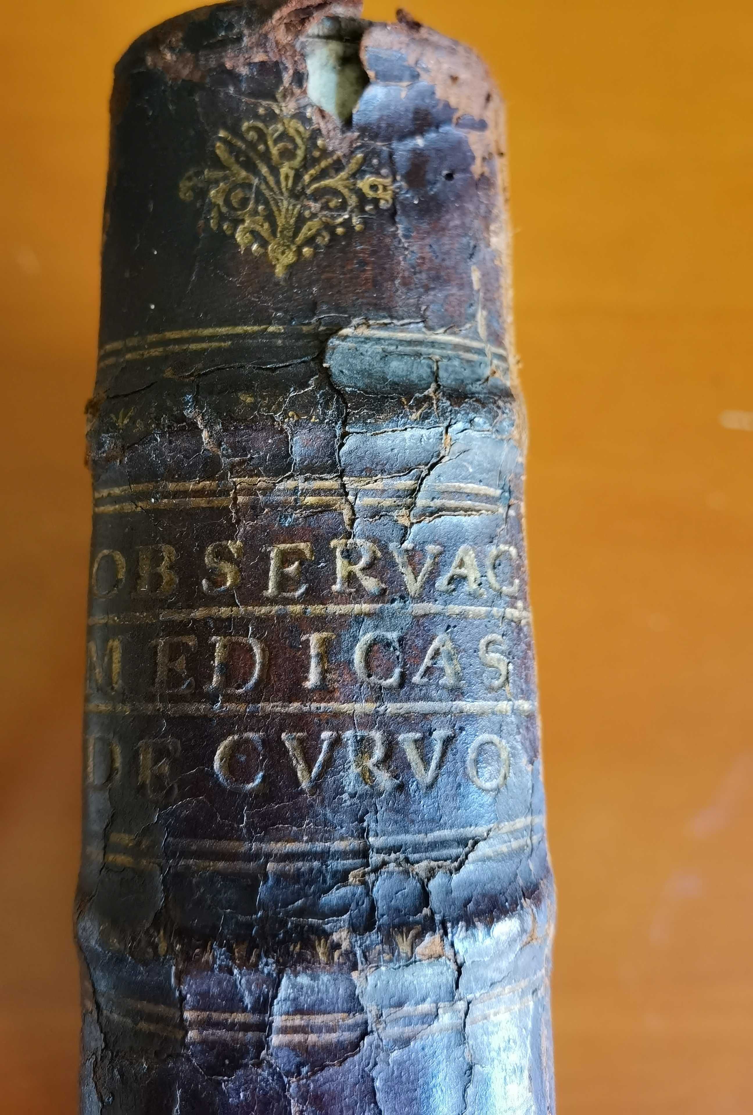 Observaçoens Medicas Doutrinaes de Cem caos Gravíssimos. Joam Curvo Se