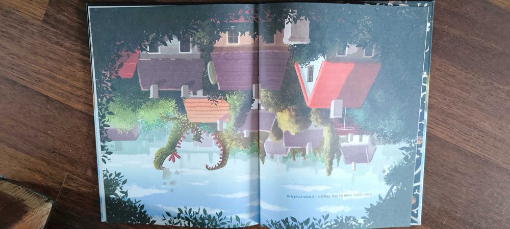 Książka picture book Ja nie chcę być księżniczką