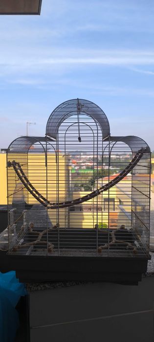 Gaiola e base vertical