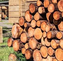 Продаю дрова твердых пород для зимы