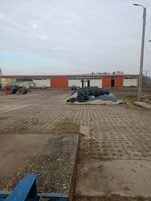 Posiadłość na sprzedaż Kalinowo