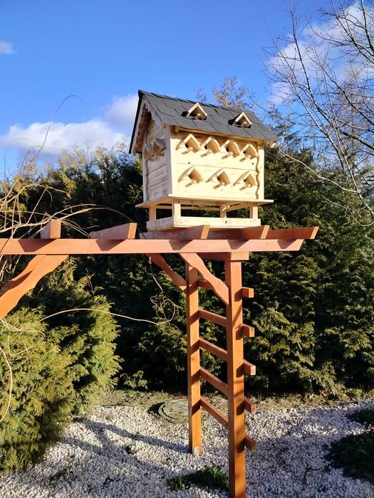 Karmnik budka dla ptaków domek lęgowy ptasi