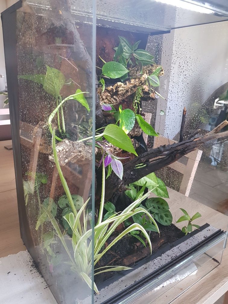 Terrarium 40x40x60 gekon