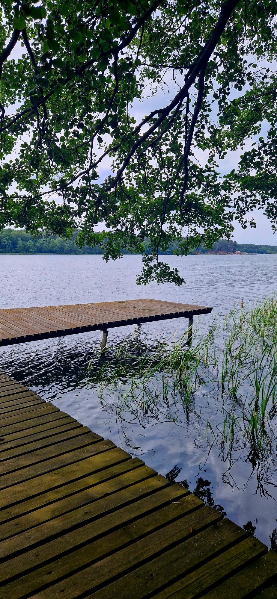 Domek nad jeziorem z własną linią brzegową , apartament, kwater