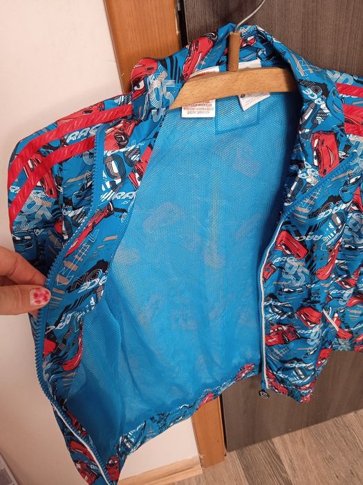 Вітровка хлопчача