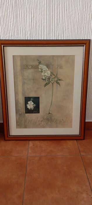 Quadros de flores