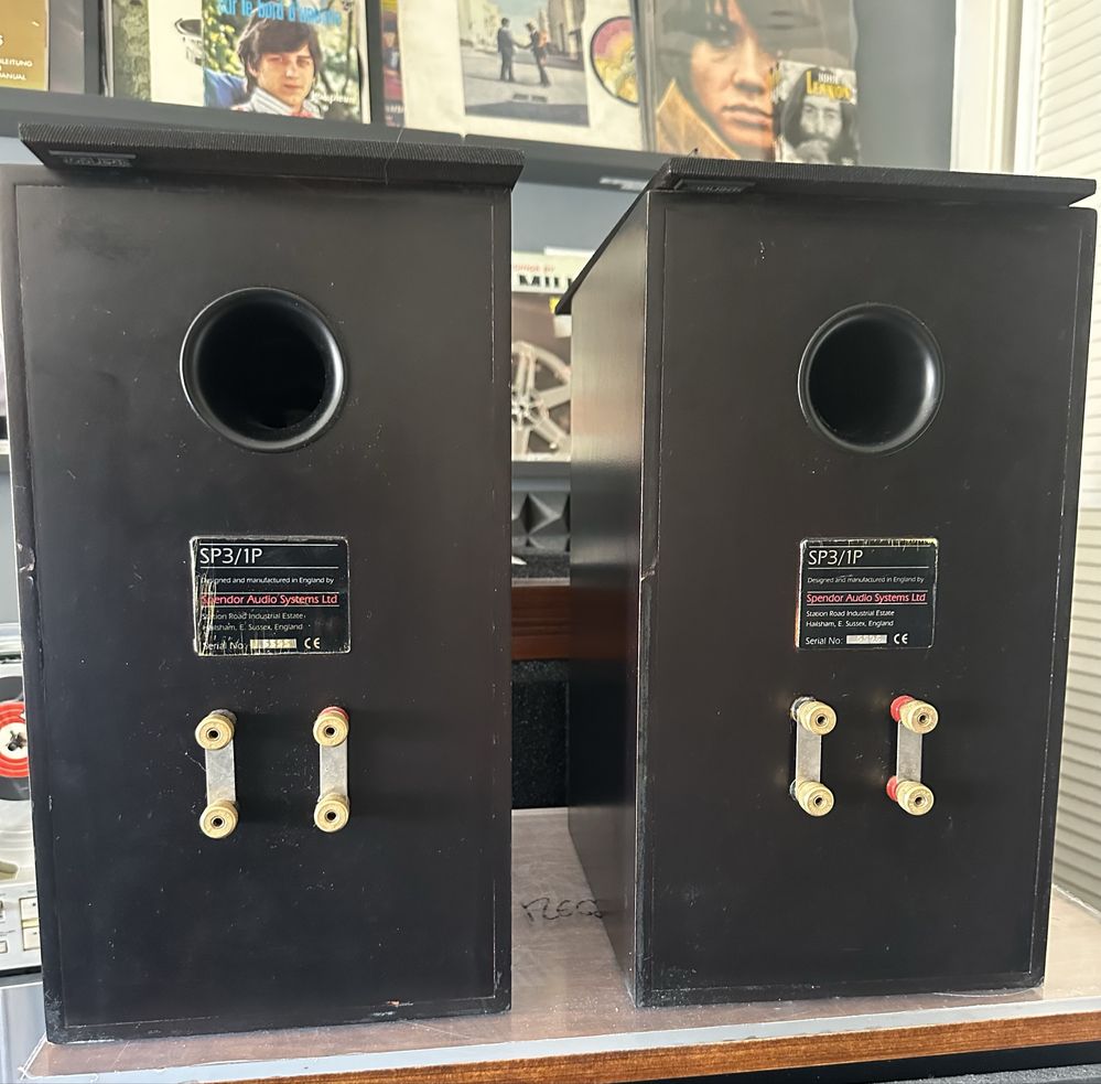 Spendor SP3 1/P - colunas monitoras