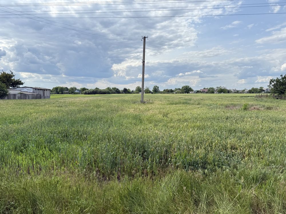 Продам земельну ділянку в с. Знаменівка, Самарівського району