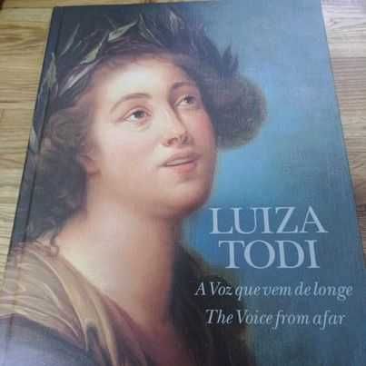 vendo livro luiza todi