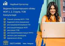 Бухгалтер ФОП. Звіти. Декларації. Консультація. Ведення