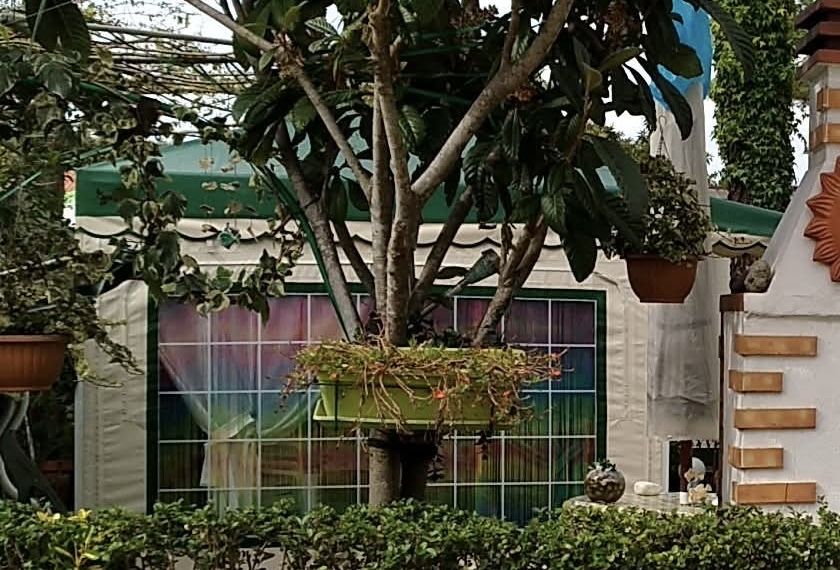 Harém/Pergula de campismo