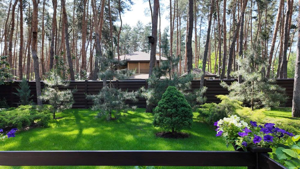 Продаж будинку в лісі, Піщанка, Ліс,Річка,