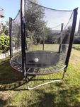 Trampolina 8ft 244