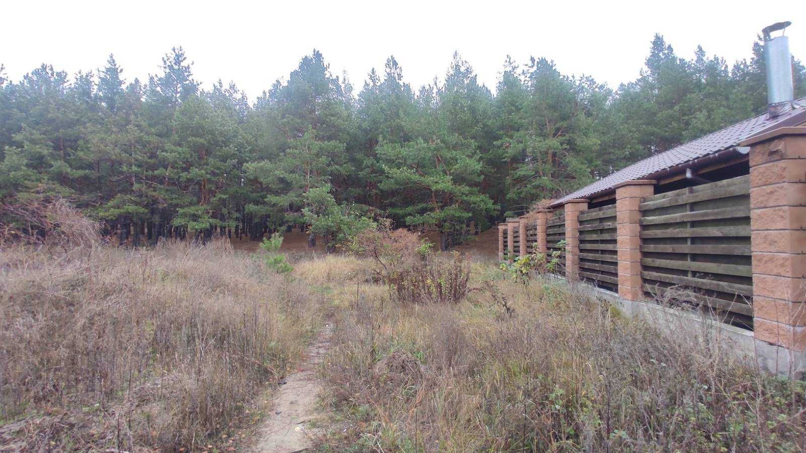 Ексклюзивна ділянка в с.Хотянівка, Вишгородського району.