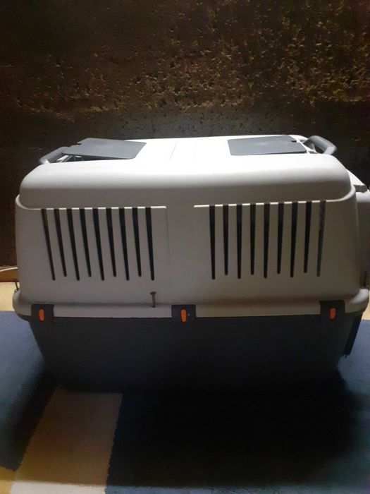 Transportadora para cães