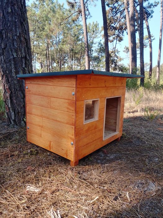 Casota para buldogue francês