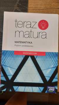 Vademecum teraz matura, matematyka